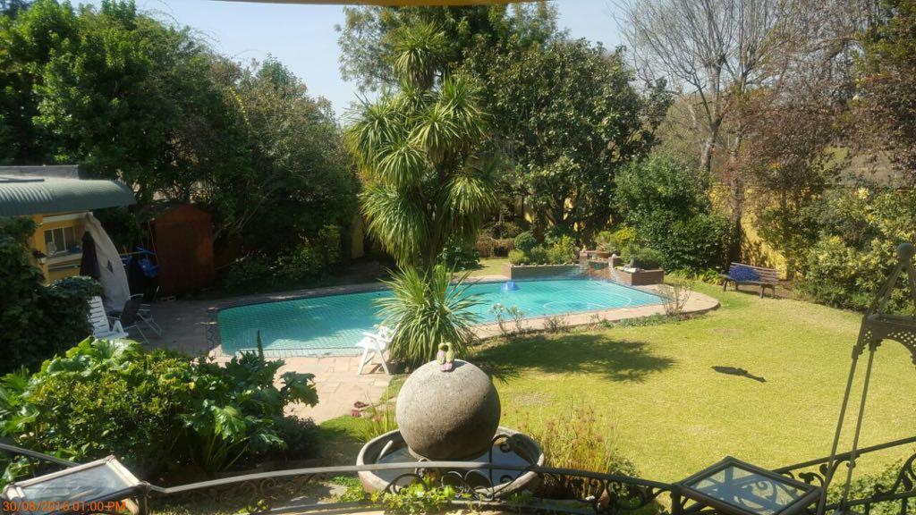 Villa Mikamora Johannesburg Kültér fotó